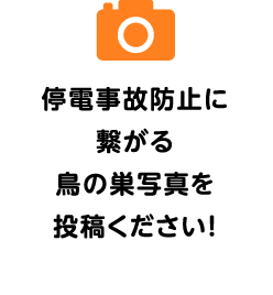停電事故防止に繋がる鳥の巣写真を投稿ください!